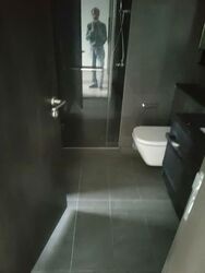 Park Colonial (D13), Condominium #604311921